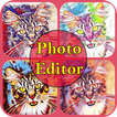 2019 Photo Editor