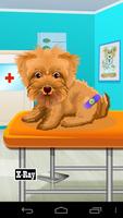 برنامه‌نما Pet Vet Doctor عکس از صفحه