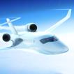 Flight Sky Sim 2021