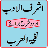 Ashraf ul adab nafhatul arab urdu sharh pdf icône