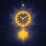 BK Habits & Traffic Control