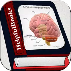 Brain E-Books XAPK download