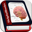 Ebooks cerveau