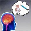 Memory Games: memory test , Brain Training
