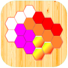 Hexagon Brain Puzzle 圖標