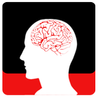Brain Power Leitner Box icône