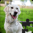 Jigsaw Puzzles - Block Puzzle icône