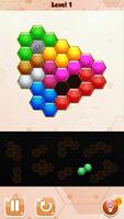 Magic Hexagon Block Puzzle poster