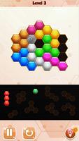 Magic Hexagon Block Puzzle تصوير الشاشة 2