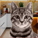 Cat Simulator Family: Cute Stray Kitten Life APK