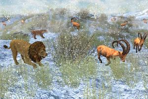 Lion Simulator Family اسکرین شاٹ 3