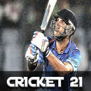 Brainnovate Cricket 2021-3D Cr APK