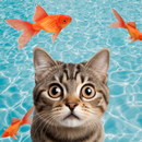 Cat Games For Cats: Mouse Toy APK