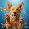 Dog games - Games for dogs APK