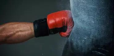 Бокс : Техника и Тактика