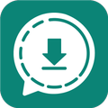 Brains Status Saver