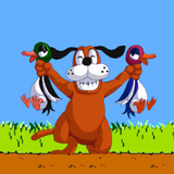 Duck Hunt icon