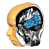 ikon Brain Tutor 3D