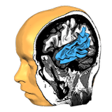 Brain Tutor 3D biểu tượng