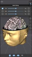 Brain Tutor 3D Affiche