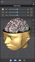 Brain Tutor 3D Poster