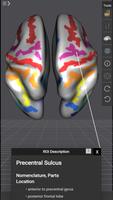 Brain Tutor 3D スクリーンショット 2