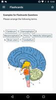 SN Flashcards syot layar 1