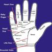 PALMISTRY (HASTREKHA VIGYAN)