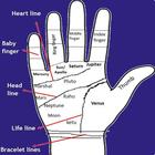 PALMISTRY (HASTREKHA VIGYAN) biểu tượng