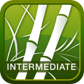Human Japanese Int. Lite