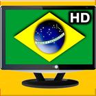 TV do Brasil ao Vivo icône