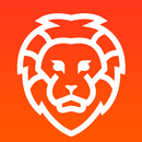 Guide Brave Private Browser APK