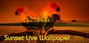 Sunset Live Wallpaper - Flying