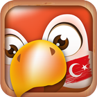 Aprenda Turco | Tradutor ícone