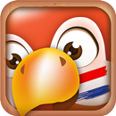 Learn Dutch Phrases APK