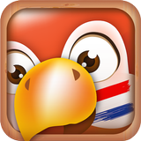 Learn Dutch Phrases icon