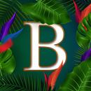 Brazilo Wave Riders APK