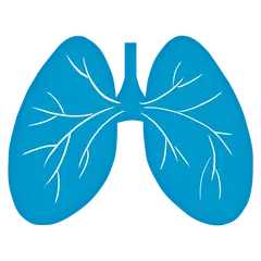 Breathing exercise APK download