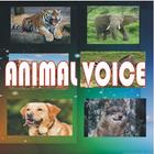 Icona ANIMAL VOICE
