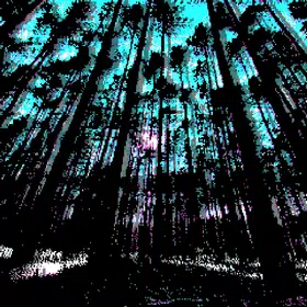 #ROOM IN THE FOREST#