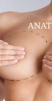 Breast Anatomy Affiche