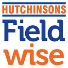 Hutchinsons icône