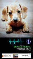 Dog Breed Scanner screenshot 3