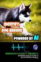 Dog Breed Scanner screenshot 1