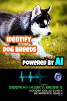 Dog Breed Scanner ภาพหน้าจอ 1