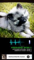 Dog Breed Scanner screenshot 2