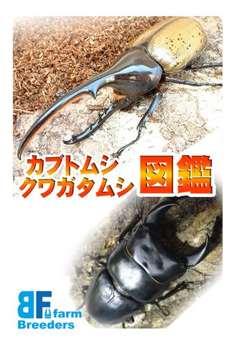 カブトムシ クワガタムシ図鑑 Cho Android Tải Về Apk