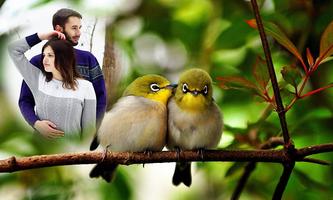 Love Bird Photo Frames স্ক্রিনশট 3