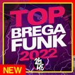 Brega Funk 2022: Brega Funk todas as música grátis