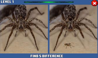 Spider Hidden Difference Affiche
